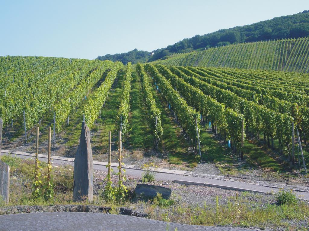 Christiana's Wein&art 3*
